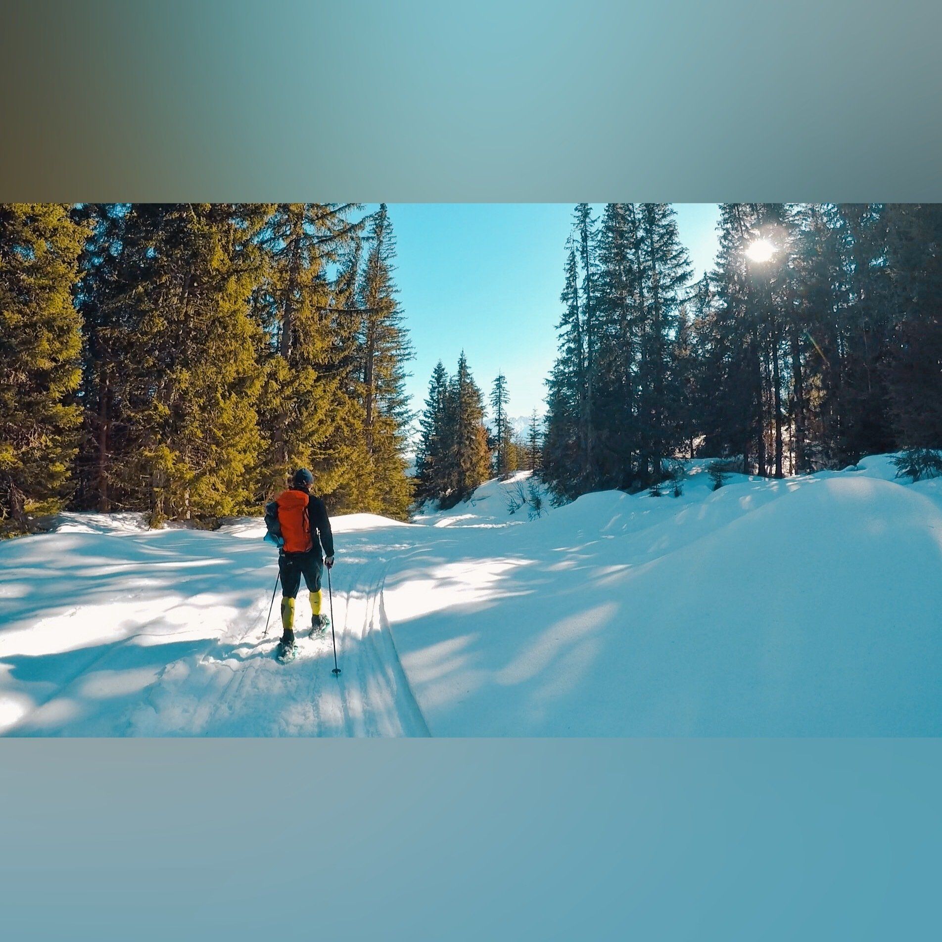 Person skiing on a snowy path in a forest, sunny day.