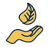 A hand is holding a leaf in its palm.