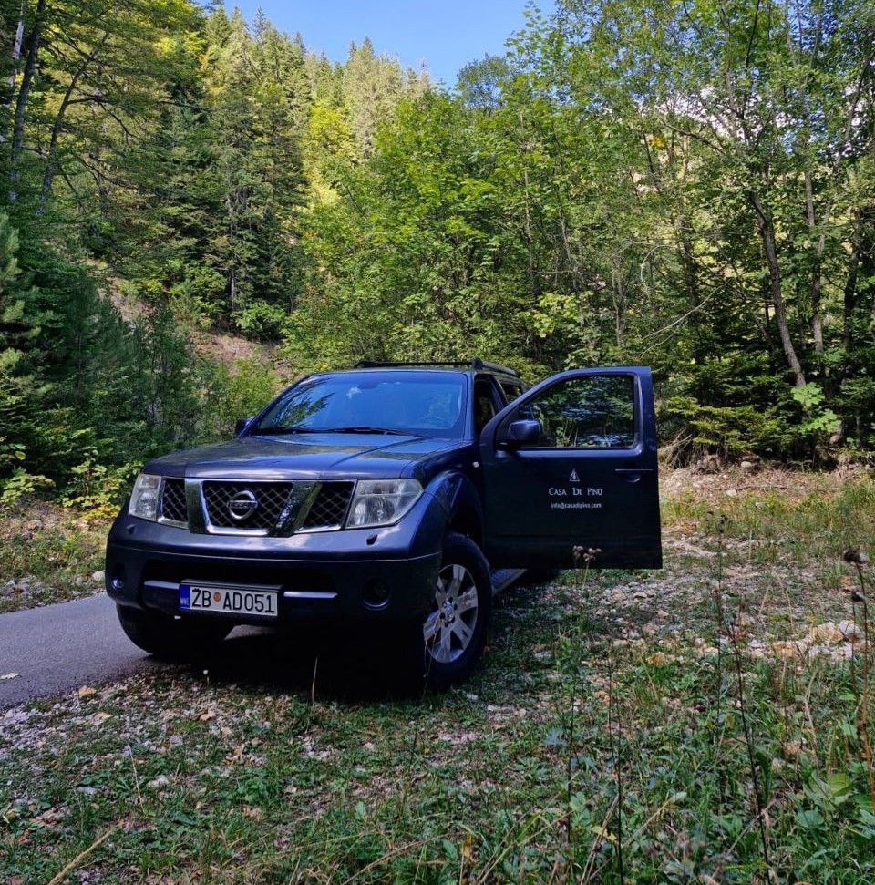 A metalic gray nissan jeep is parked in the middle of a forest.