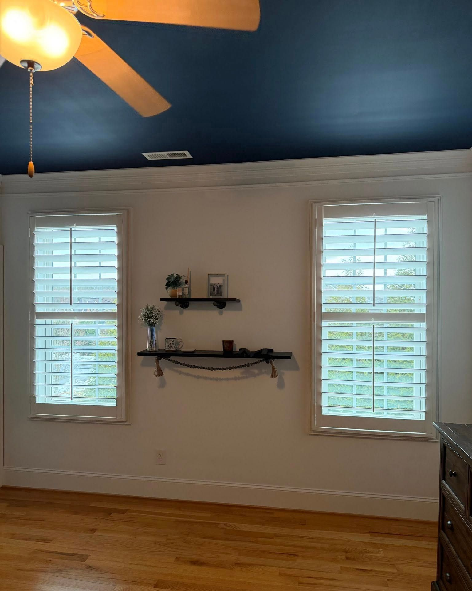 Piedmont Blind Company 4