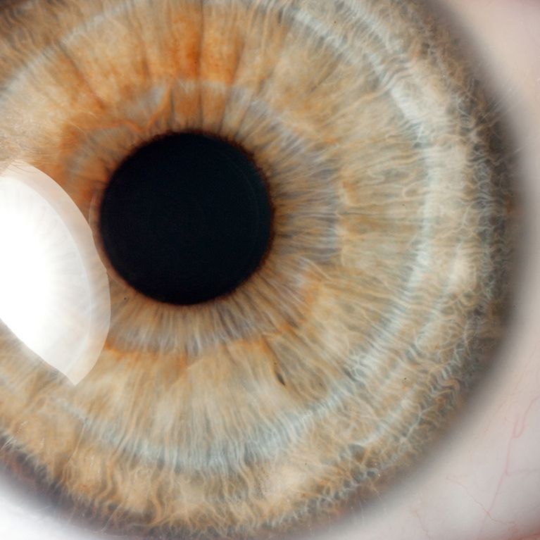 Close-up of a hazel eye with a dark pupil and visible eyelashes.