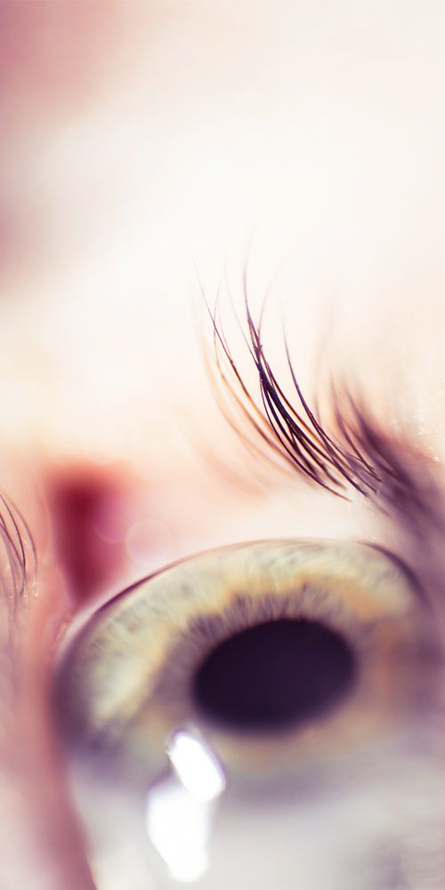 Close-up of a human eye with long eyelashes and a blurred pink background