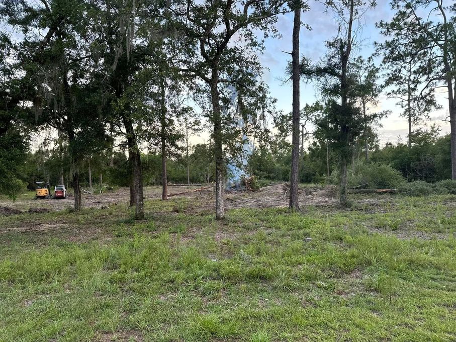 Grassy clearing with scattered trees and a pile of debris under a pale sky