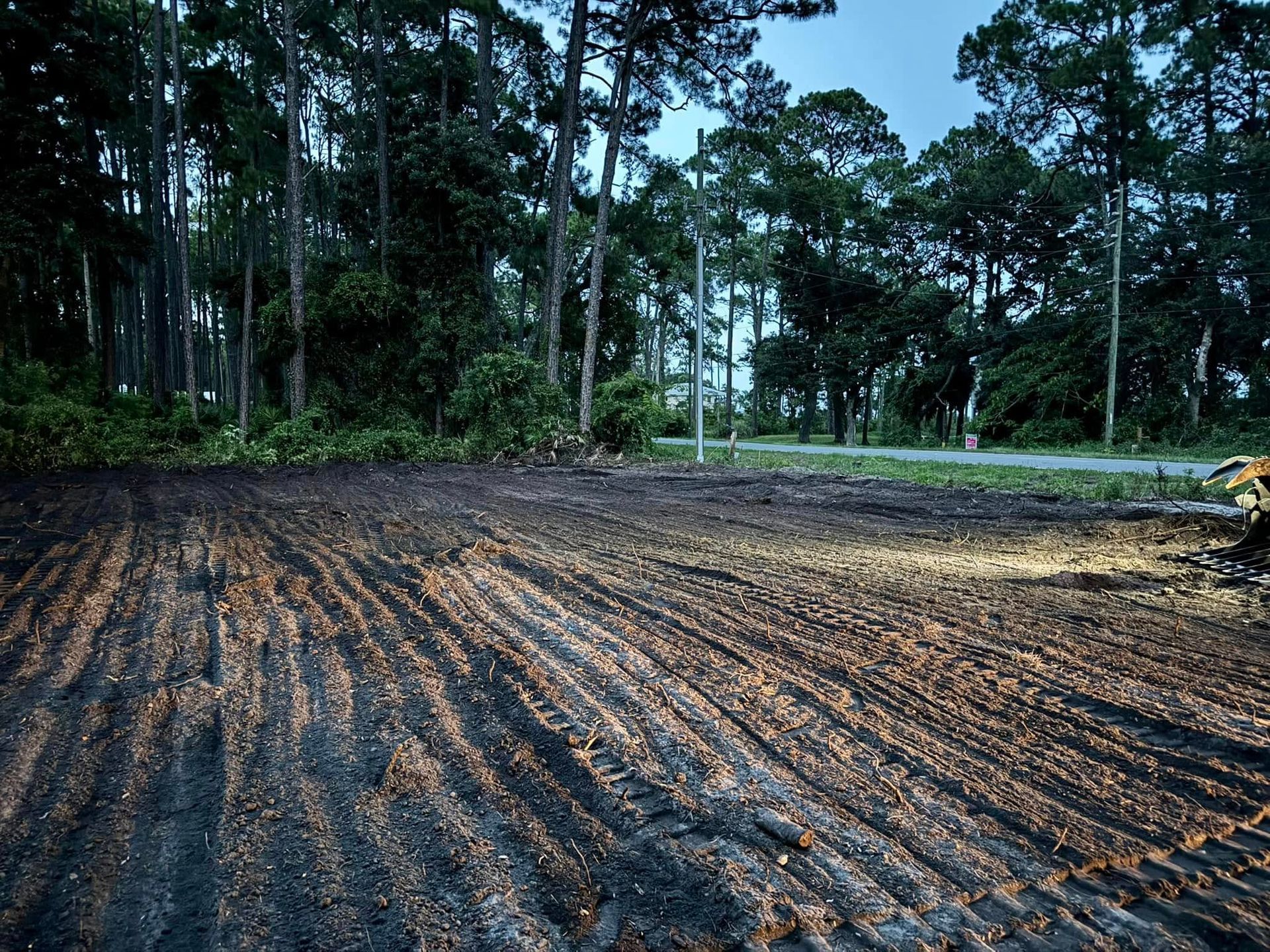 Cleared field with muddy soil and tire tracks beside a dense forest of tall trees