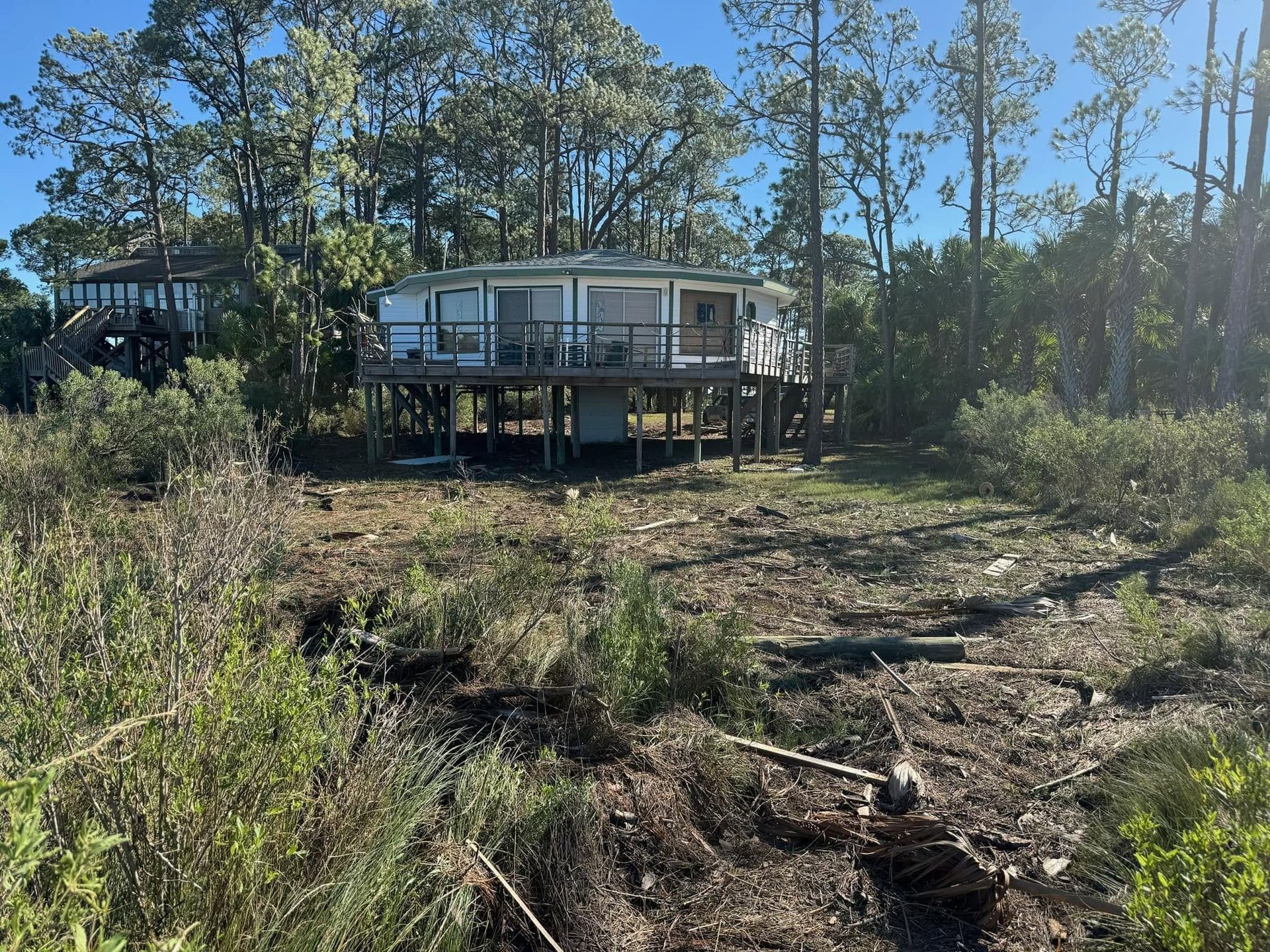 Elevated house on stilts in a cleared, brushy lot with trees and blue sky surrounding it