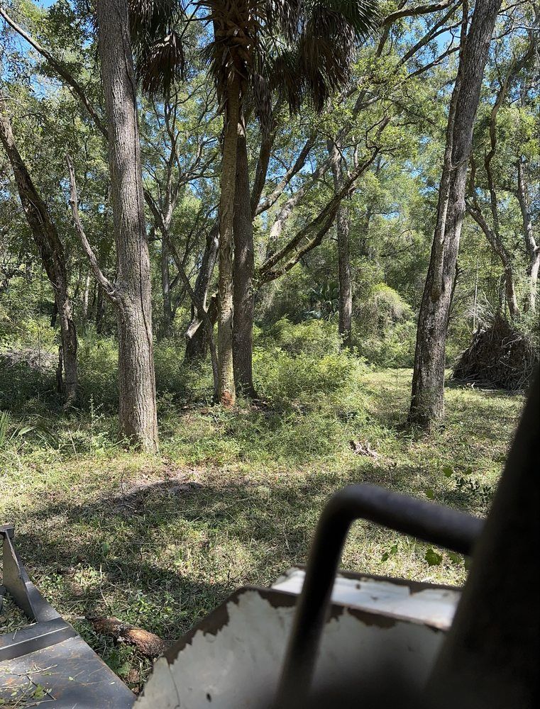 Wooded trail with tall trees and sunlit grass, seen from a shaded bench or shelter