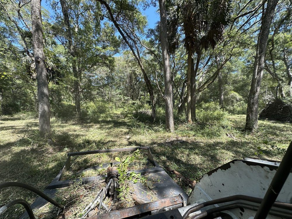 Off-road vehicle view of a wooded trail with trees and brush under bright daylight