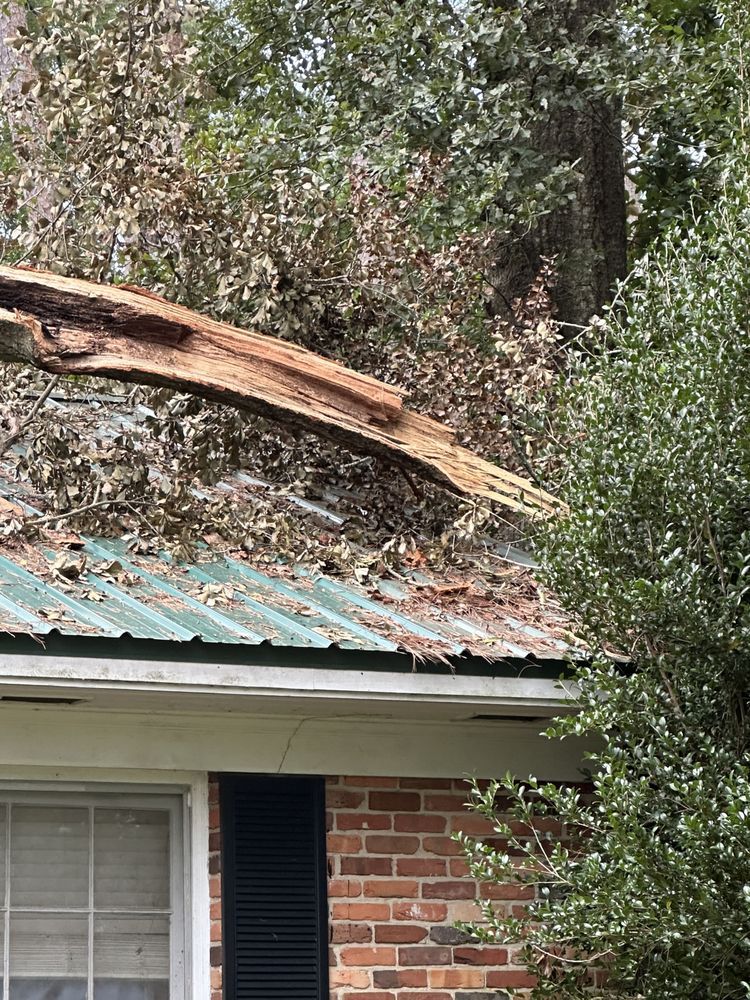 Tree limb fallen on a house roof, damaging the green metal shingles.