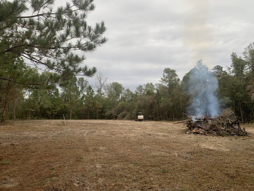 Wooded clearing with a smoking brush pile on the right and a small sign in the distance