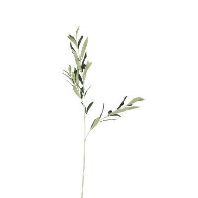 Een slanke, kunstmatige olijftak met kleine groene blaadjes en minuscule donkere olijven aan een dunne, lichtgekleurde steel.