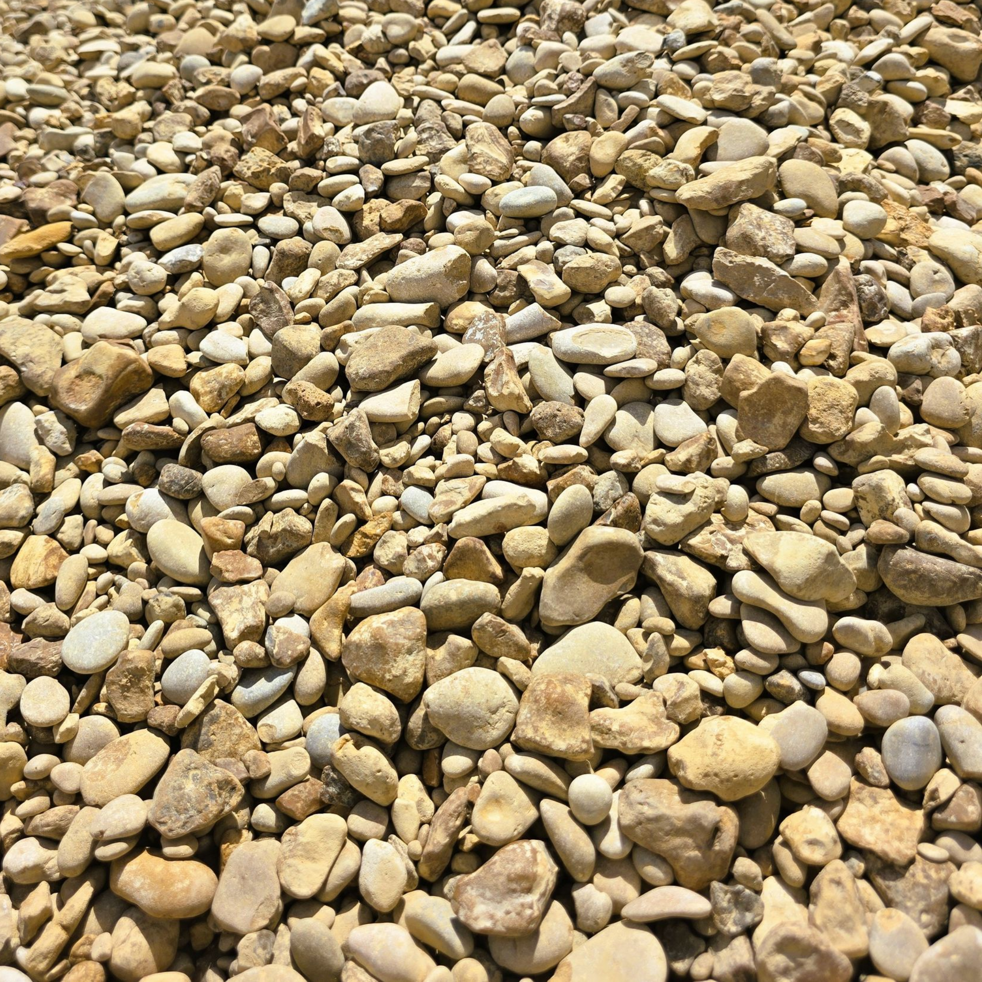 Small, smooth, multicolored pebbles, in varying shades of tan, gray, and blue.