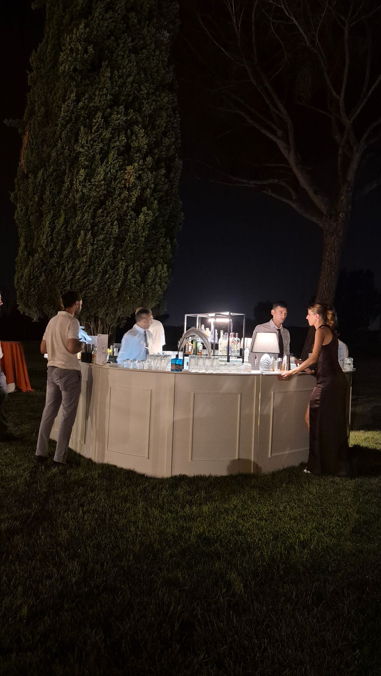 Cocktail service Villa Alberico Servizio cocktail serale nel giardino di Villa Alberico a Roma