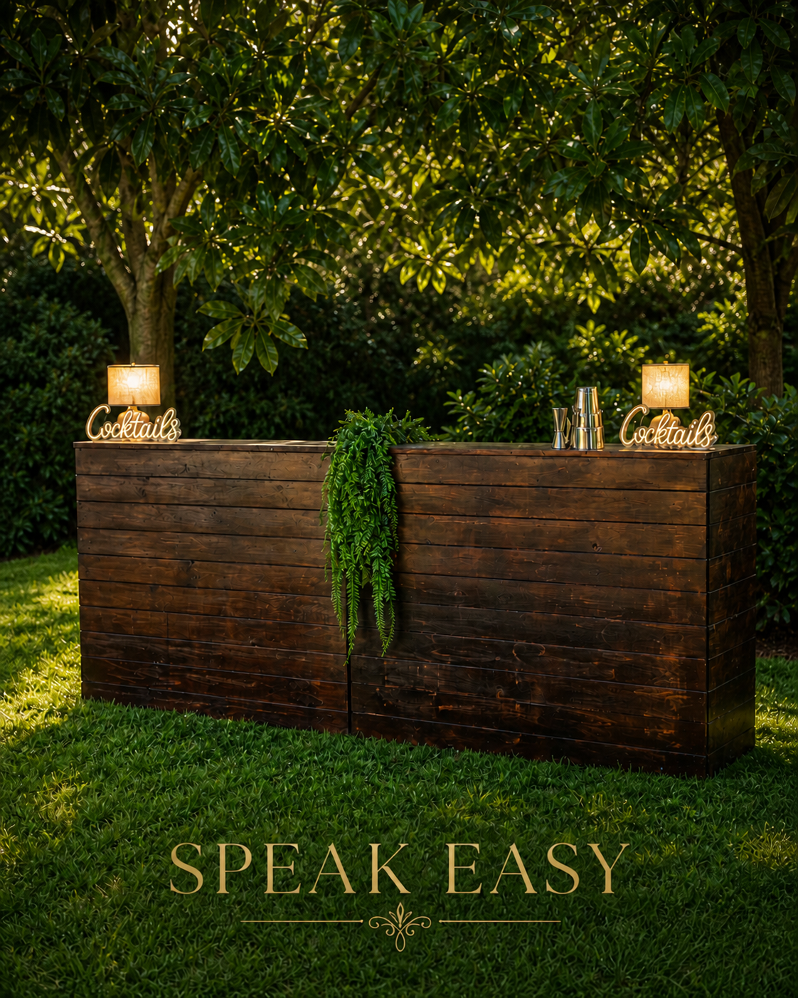 Bancone Speak Easy Barman Express