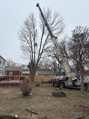 Green tree trimming truck with extended boom near a house, orange safety cones line the street.