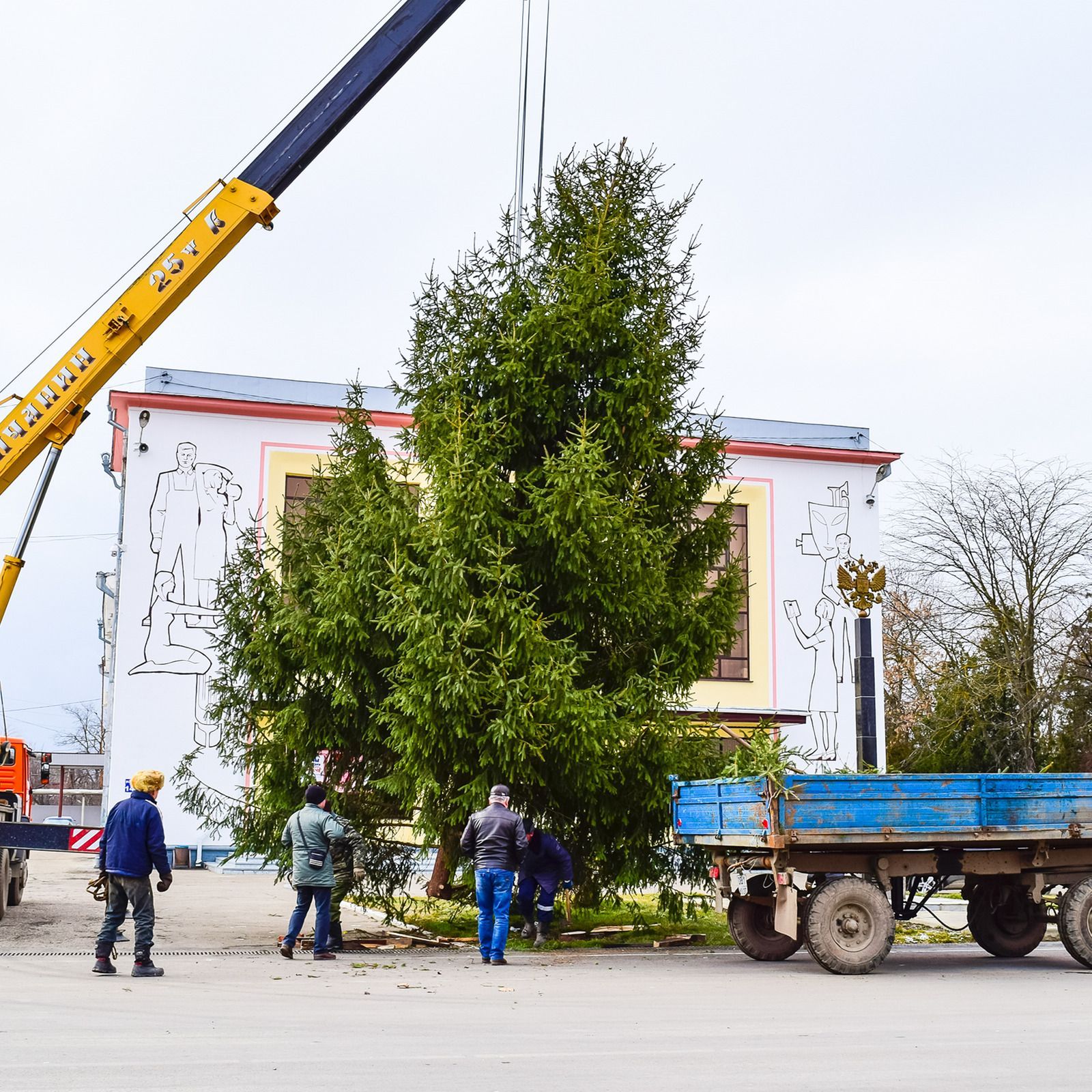 Crane lifting a tree against a clear blue sky.