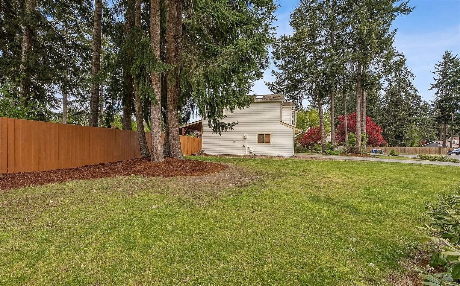Backyard with green lawn, tall trees, wooden fence, and a small white shed under a cloudy sky