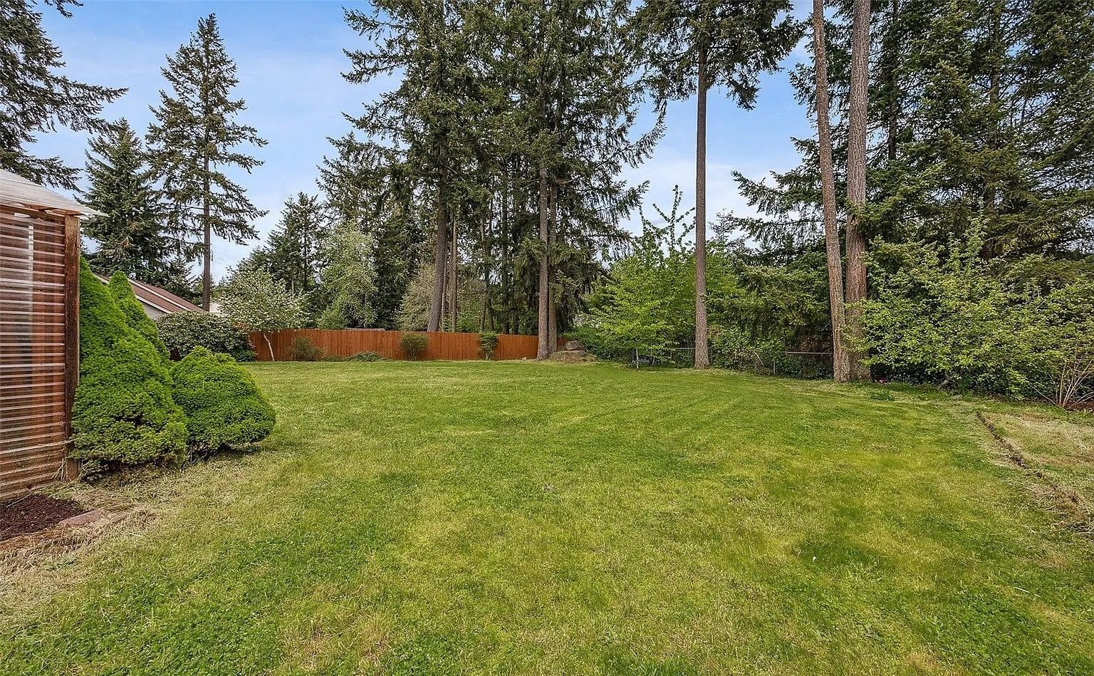 Grassy backyard bordered by tall trees and shrubs, with a wooden fence along the left side.