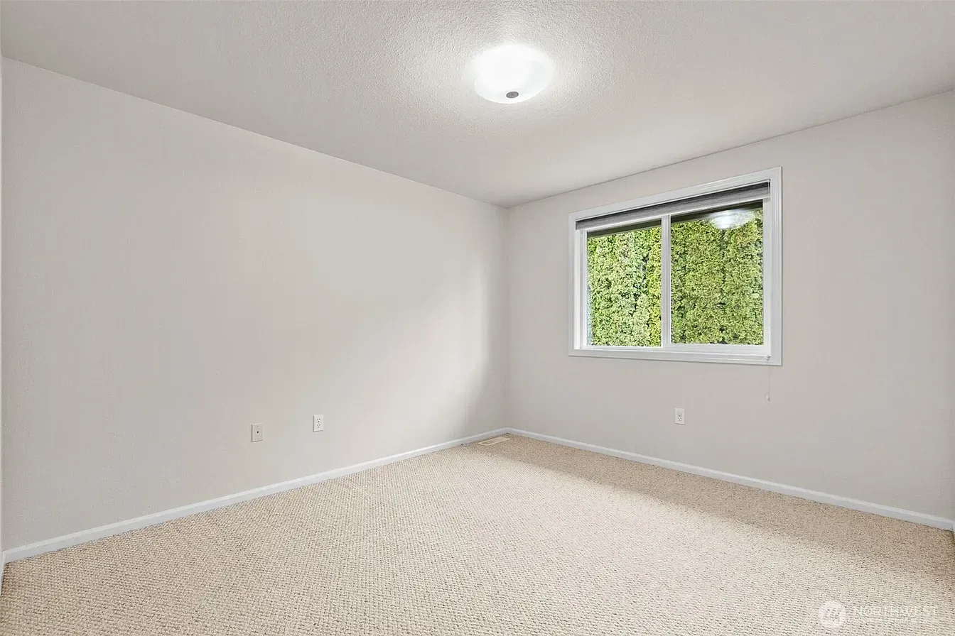 Empty white bedroom with carpeted floor and a window showing green trees