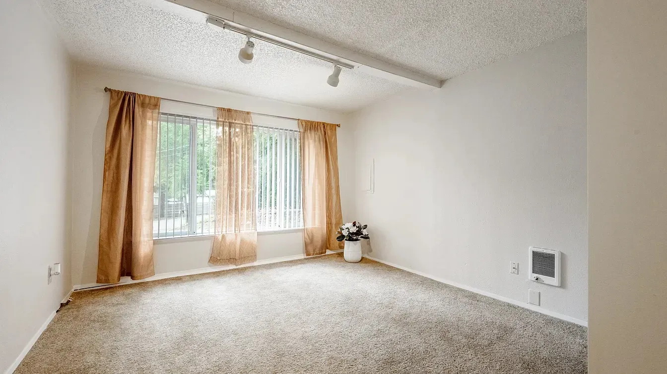 Empty room with beige carpet, a window with curtains, and overhead lighting.