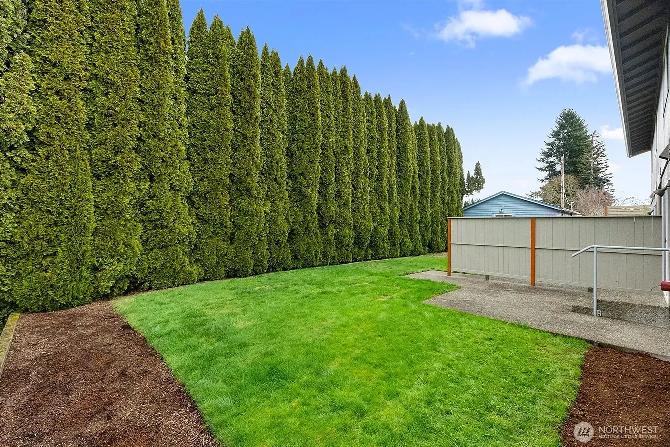 Backyard lawn bordered by tall hedge, with a small shed and patio beside a house