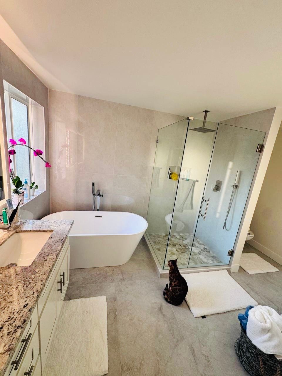 Modern bathroom with a cat. White tub, glass shower, and marble vanity.