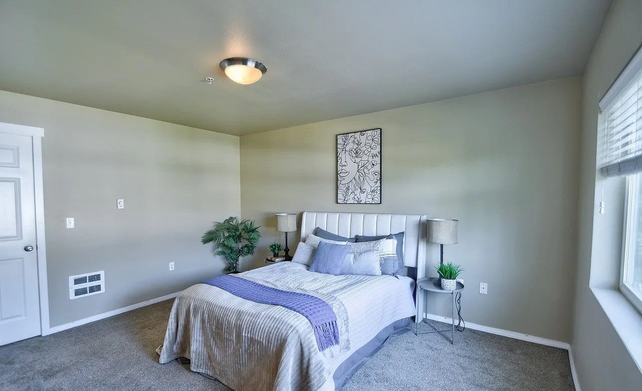 Bedroom with bed, nightstands, window, and plant against light-colored walls.
