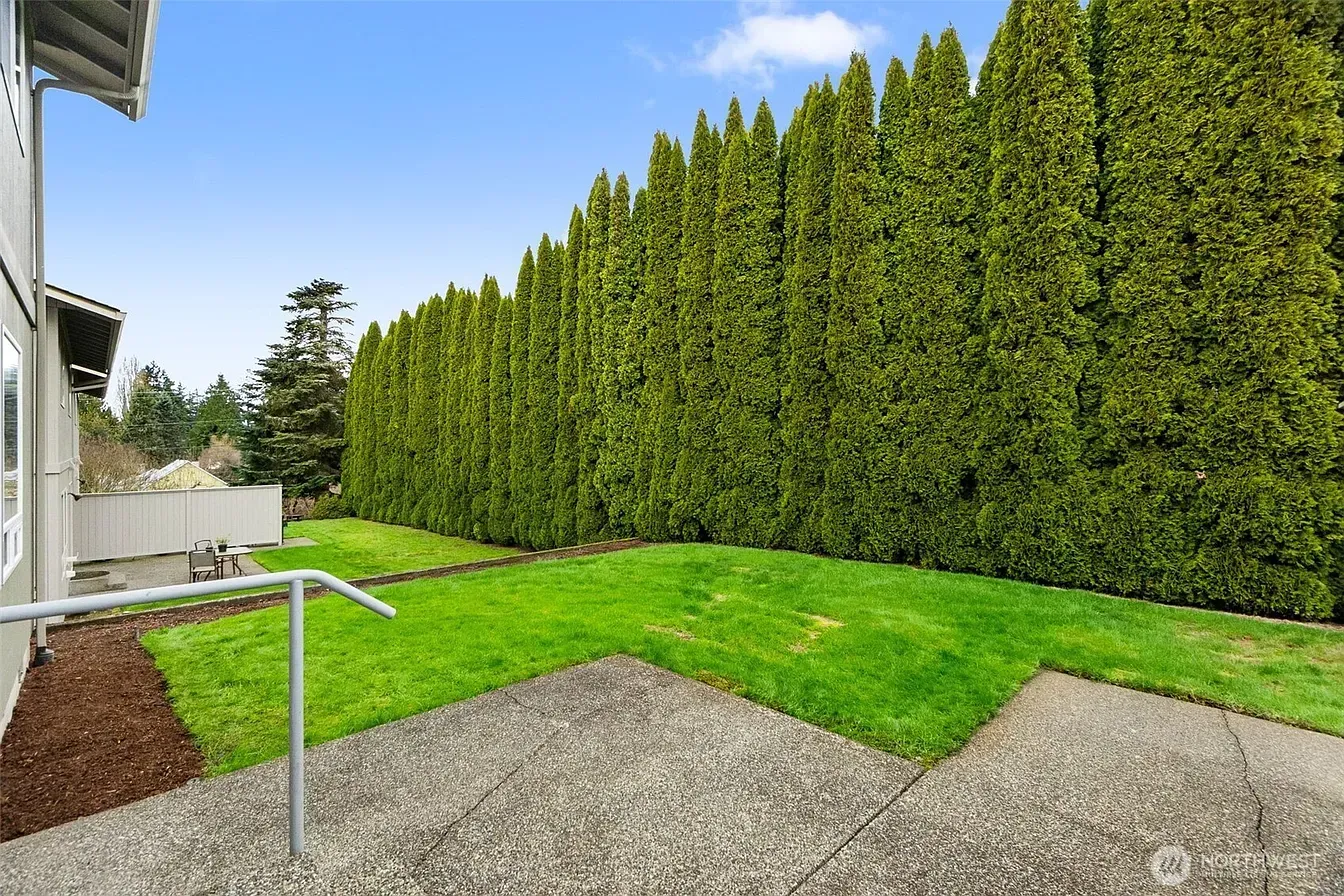 Backyard patio with gravel, bright green lawn, and tall evergreen hedge beside a house