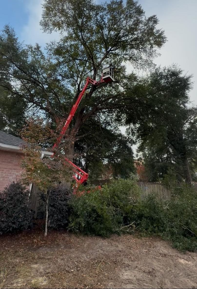 Dempsey's Tree & Land Development LLC 3