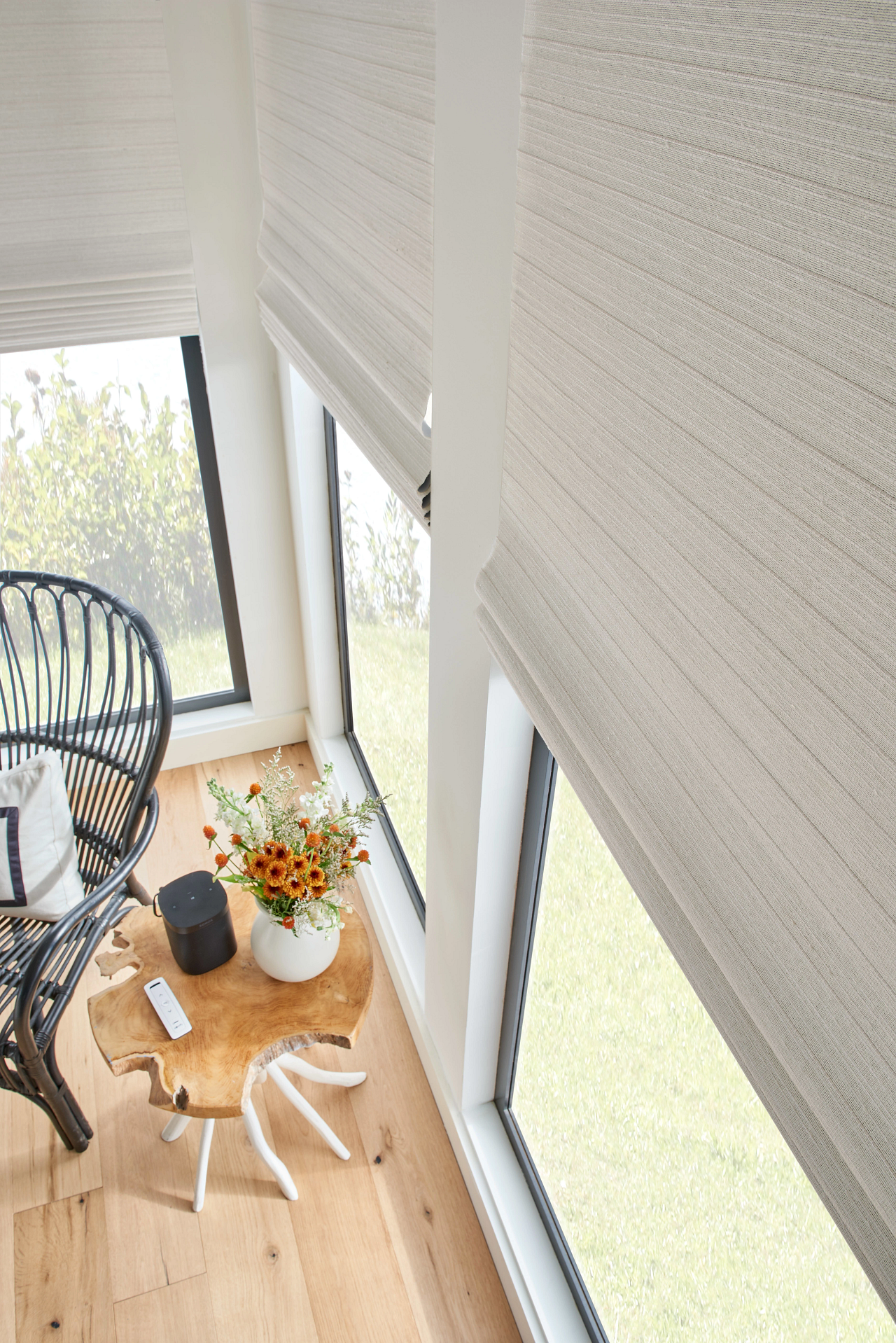 window treatment