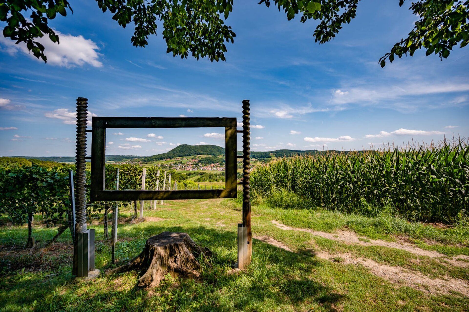 Weinberge