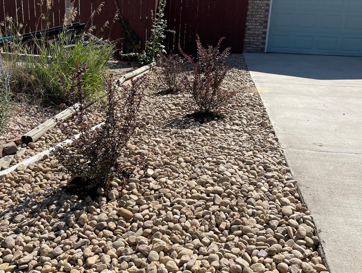Gravel front yard with small shrubs beside a concrete driveway and garage door