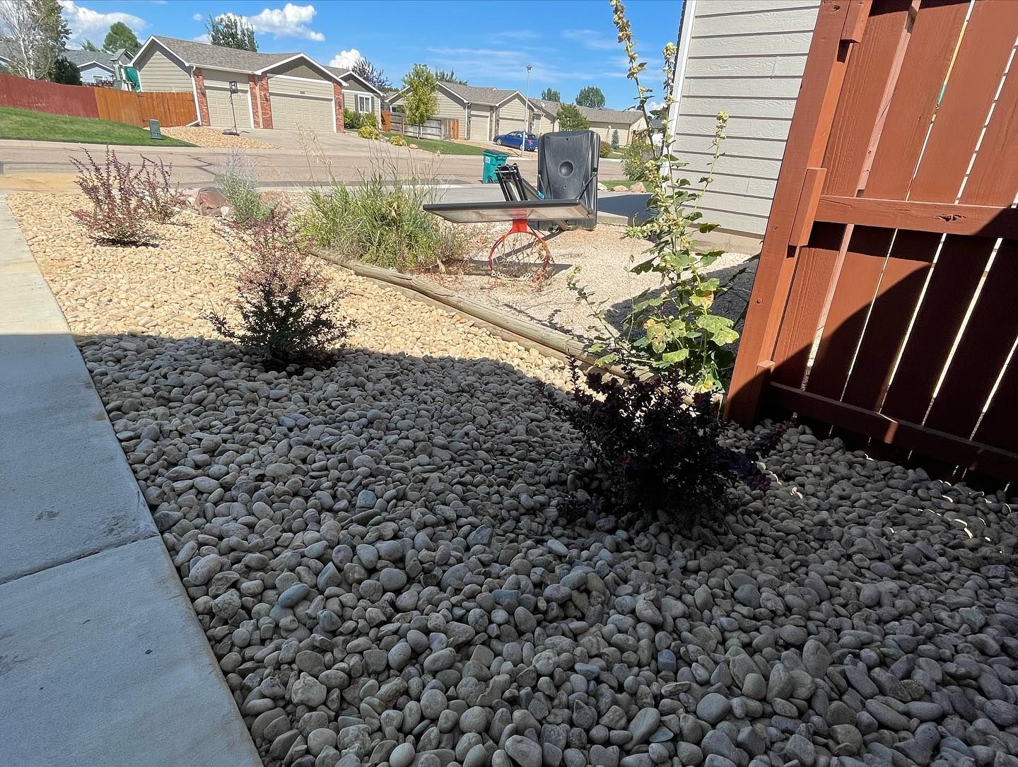 Backyard with gravel, small shrubs, concrete patio, and a wooden fence under bright sun