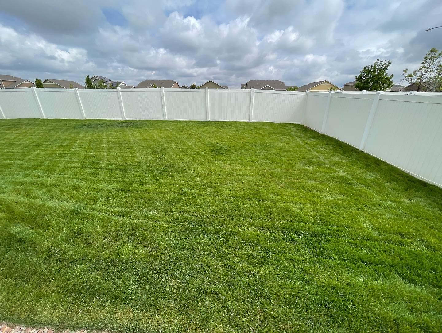 Green backyard lawn bordered by white vinyl fences under a cloudy sky.