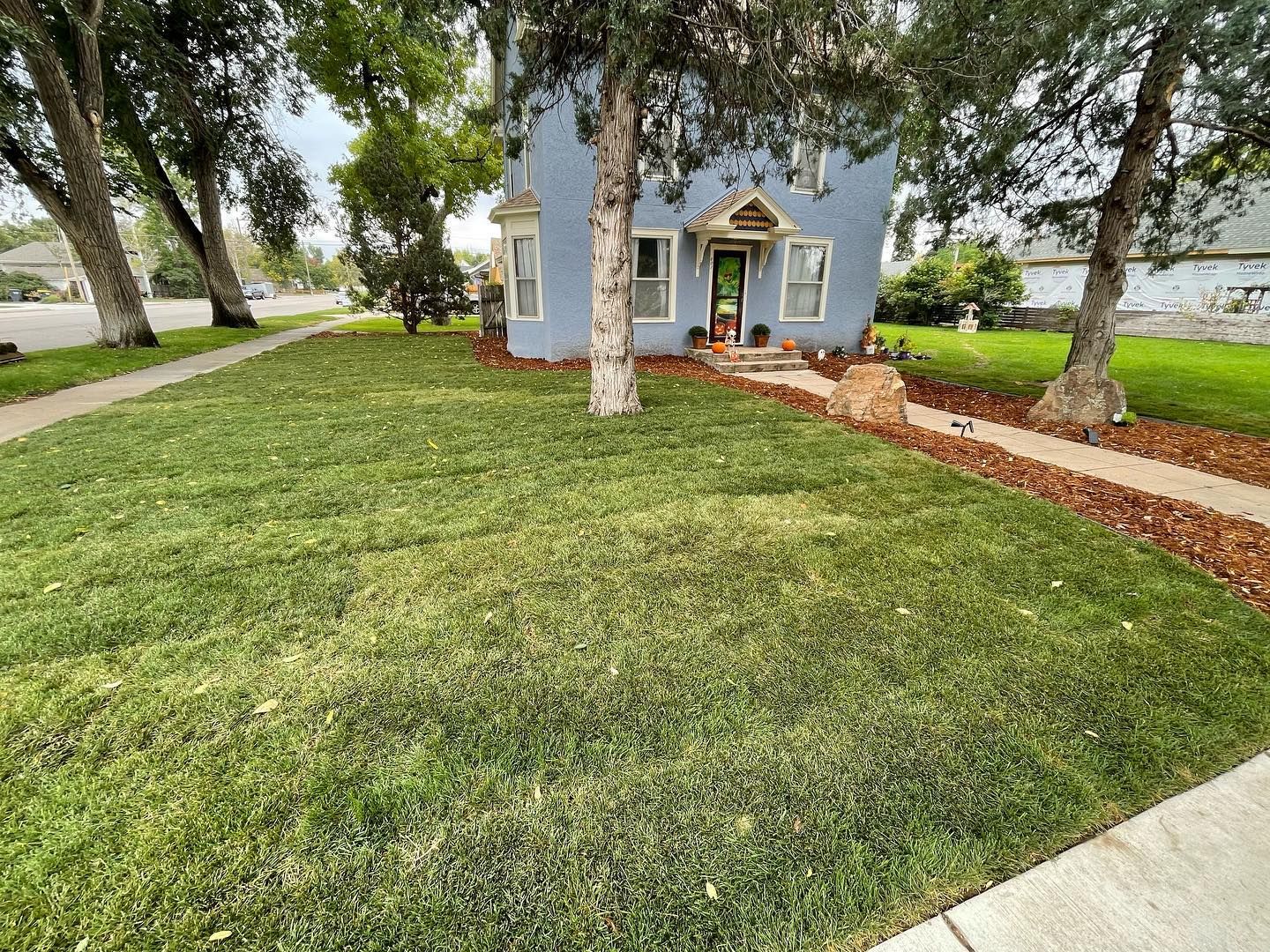 Small blue house with a front porch and large green lawn, framed by trees and a walkway