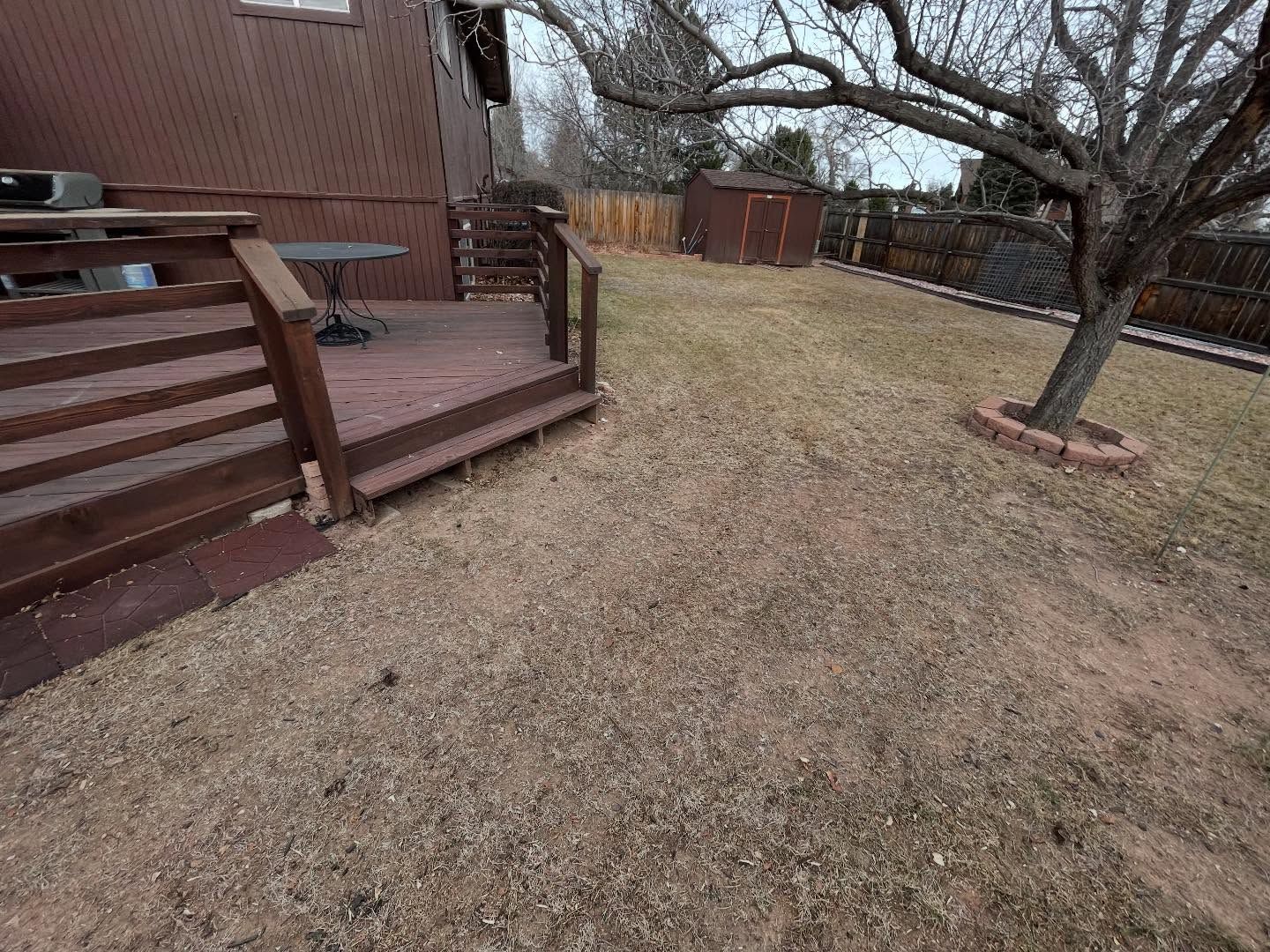 Backyard with wooden deck, leafless tree, and grassy yard bordered by a fence