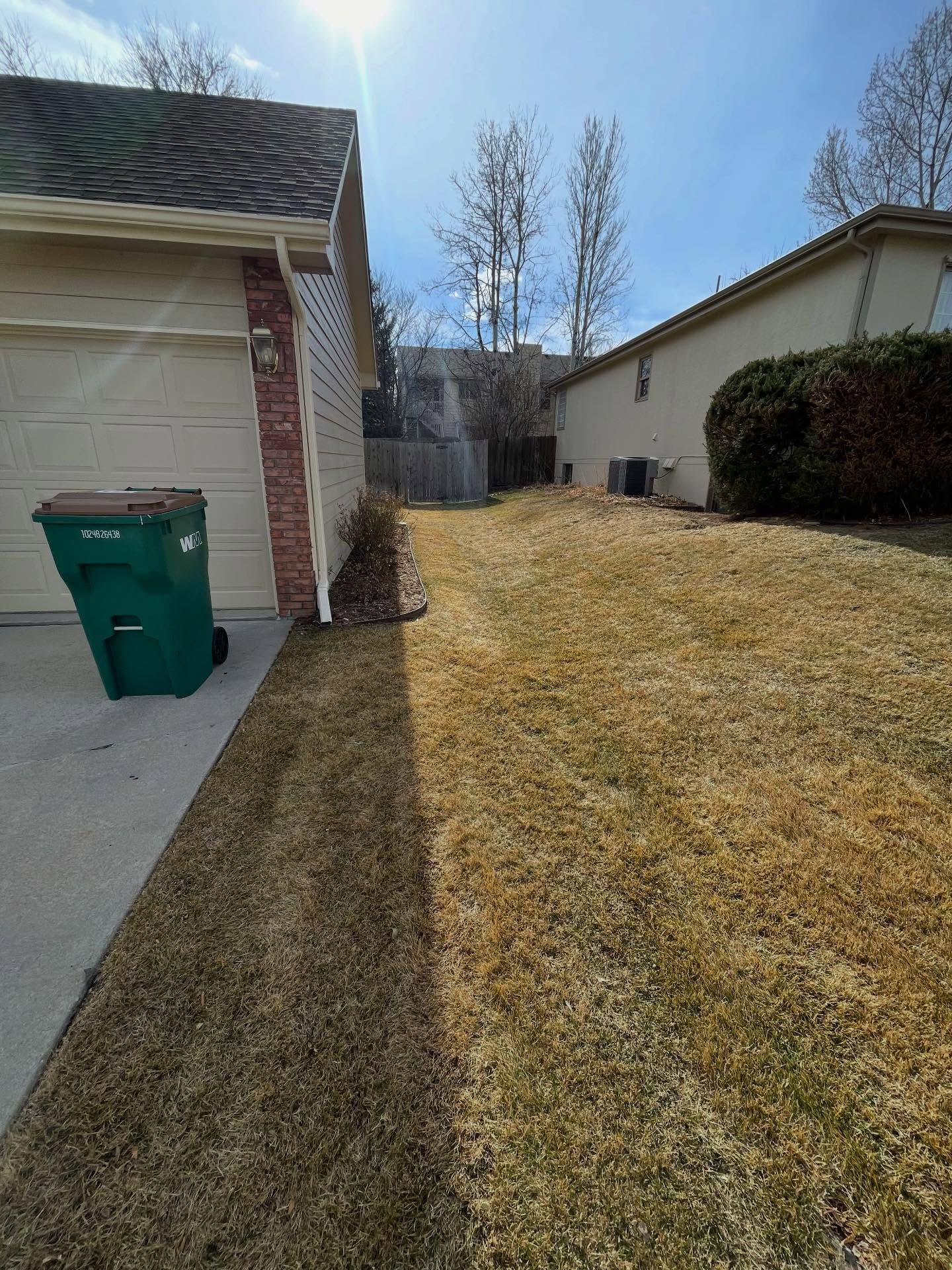 Suburban side yard between two houses with dry grass, a driveway, and green trash bin in sunlight