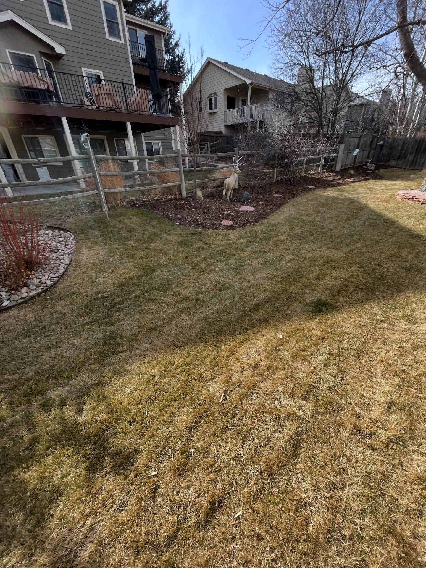 Residential backyard with patchy grass, shrubs, and a fence beside apartment buildings