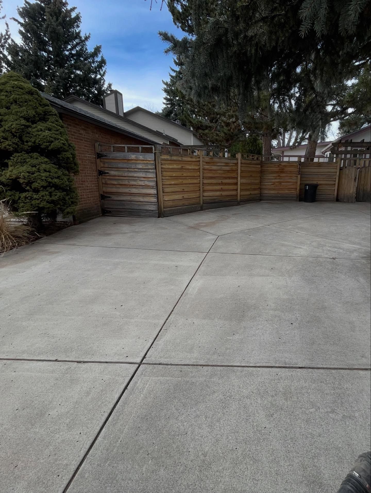 Empty concrete driveway beside a wooden fence and large evergreen trees under overcast sky