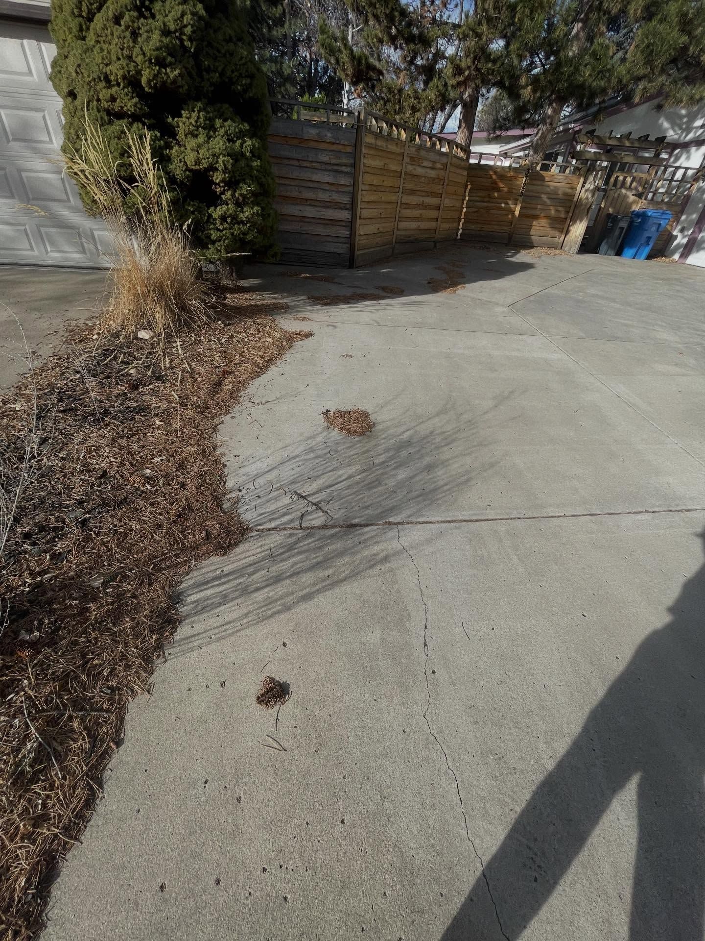 Cracked concrete driveway beside a wooden fence, with dry leaves and tree shadows.