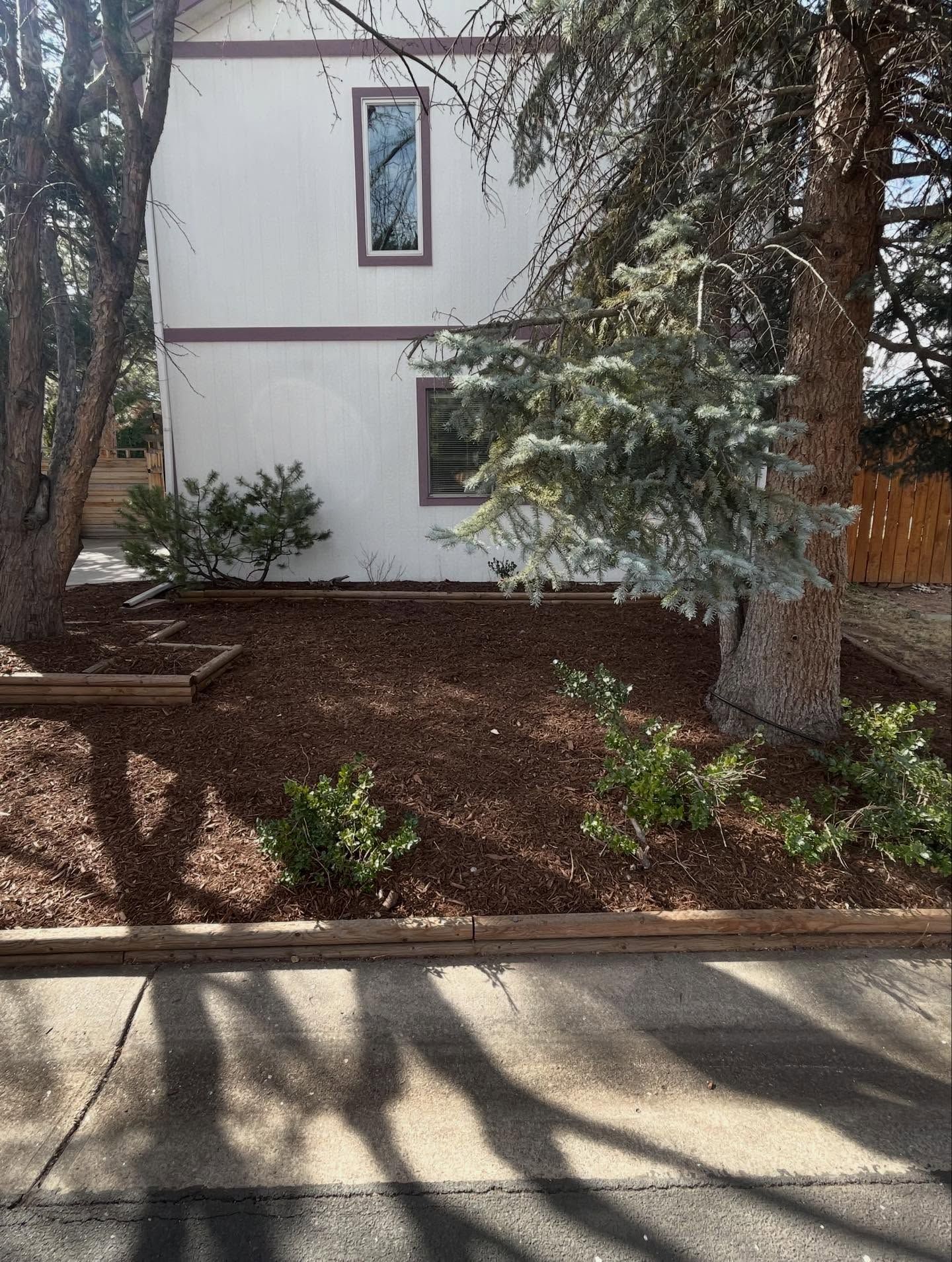 Front yard with mulch beds, shrubs, and a white house partly shaded by trees.