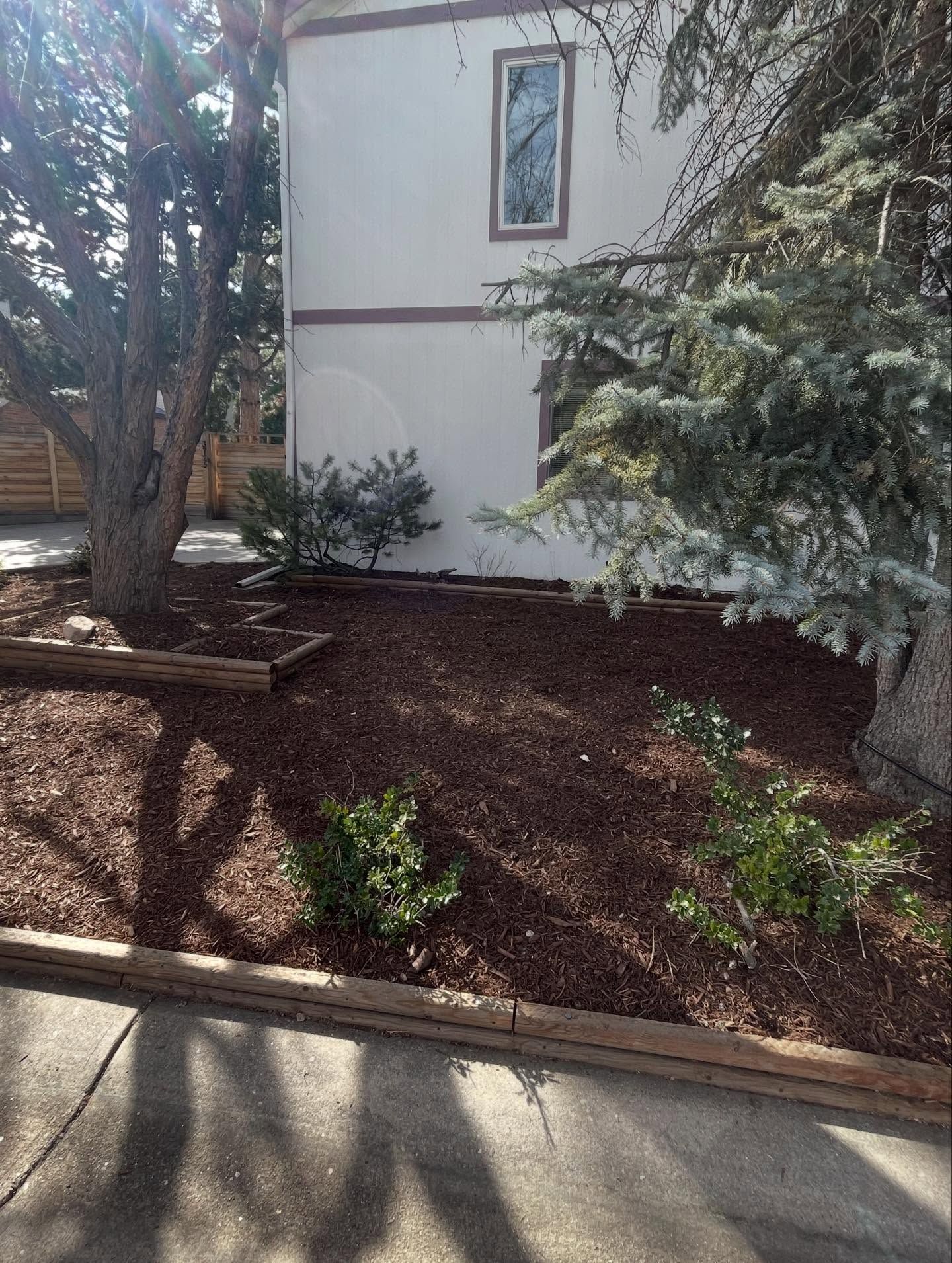 Sunlit yard with mulch beds, trees, shrubs, and a house wall with a small window