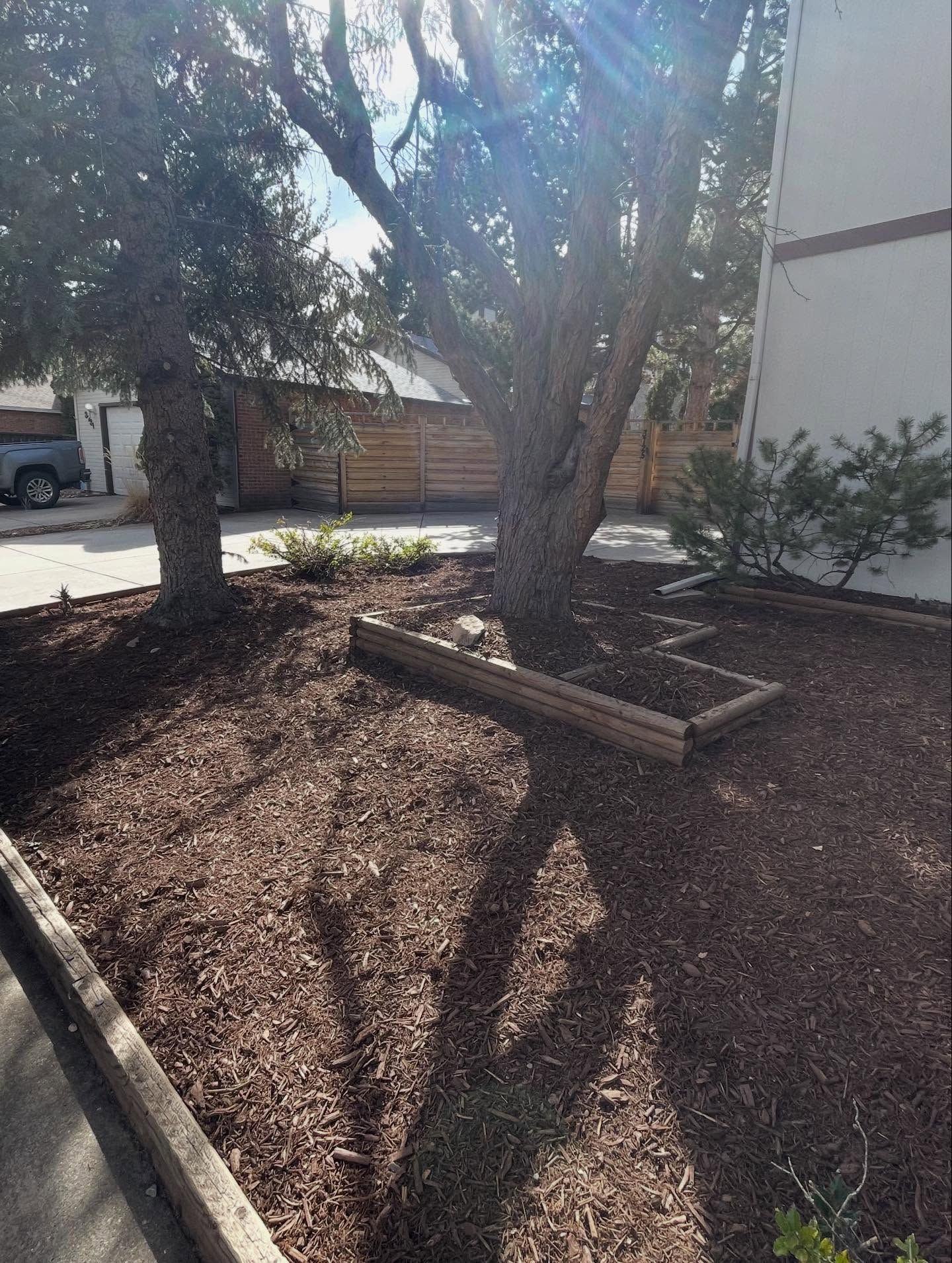 Small courtyard with two trees, mulch ground cover, and a low planter beside a building.