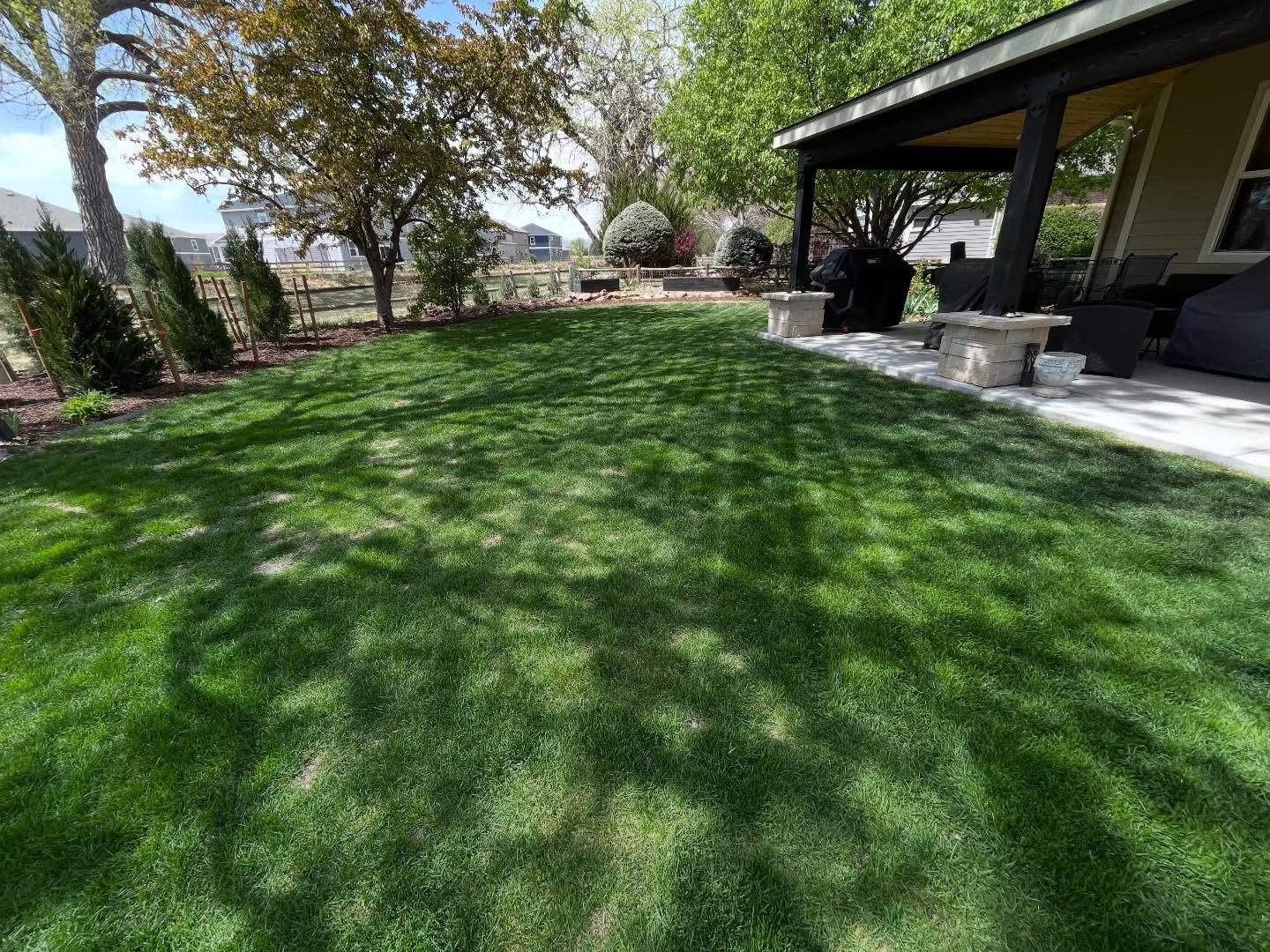 Backyard lawn with shade trees, flower bed, and a covered patio beside a house