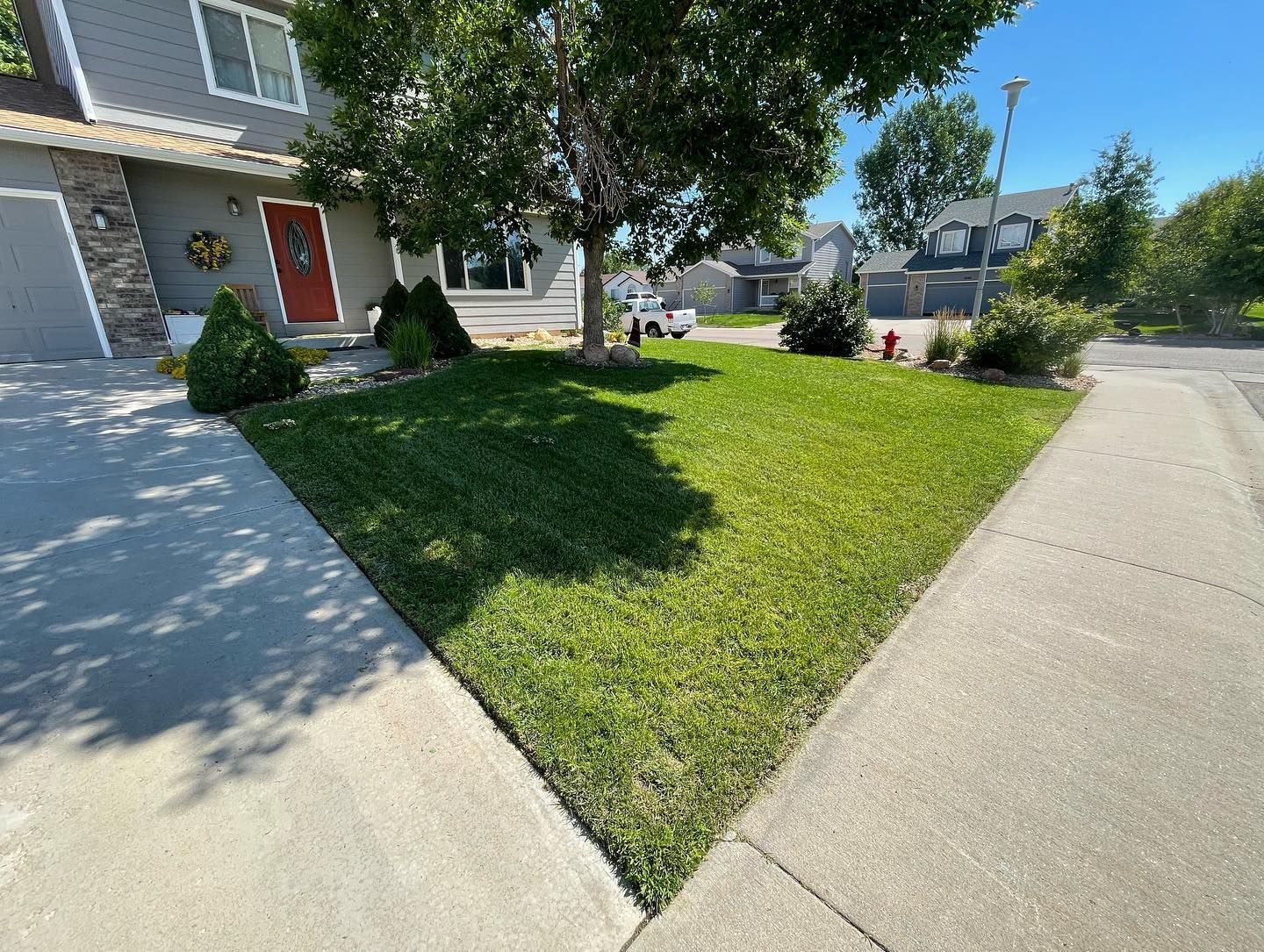 Corner lot with a green lawn, concrete walkways, and a house entrance under trees on a sunny day