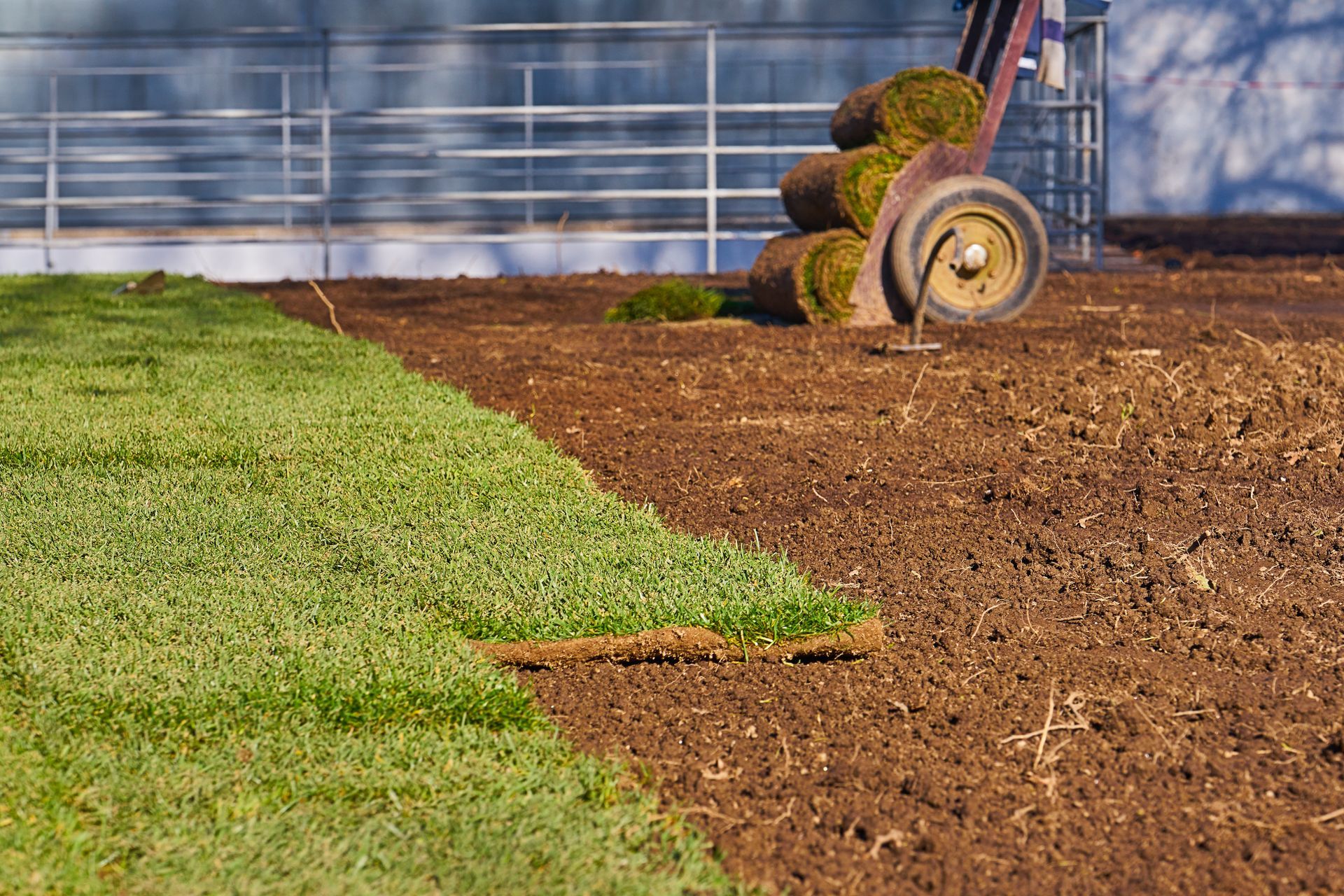 Lawn edger trimming a sharp boundary between green grass and brown soil beside a fence