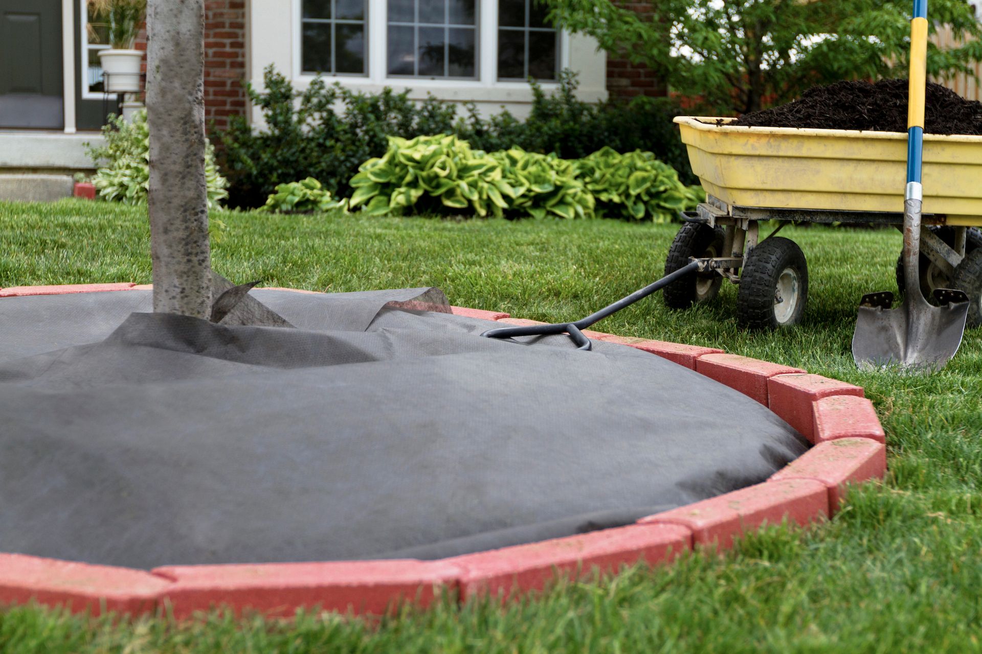 Mulched tree bed bordered by red bricks with a yellow garden cart and shovel in a front yard