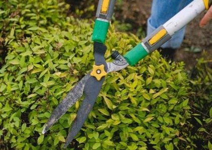 garden maintenace brantford ON