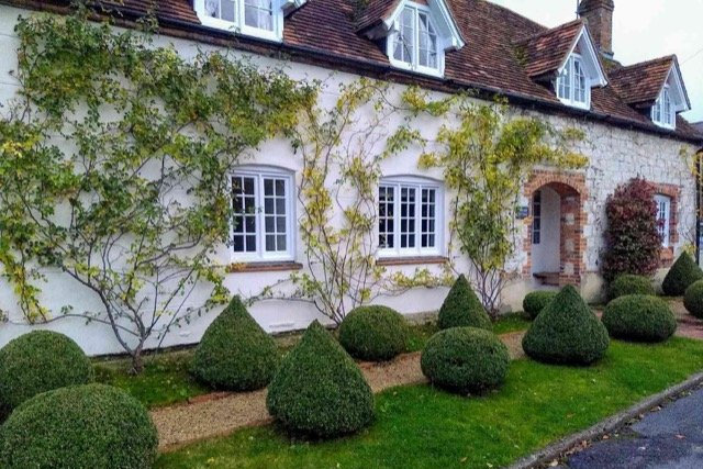 hedge trimming services brantford ON
