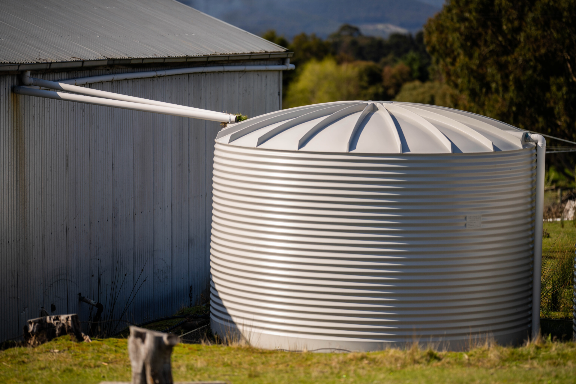 Large white water tank beside a metal shed in a grassy rural yard