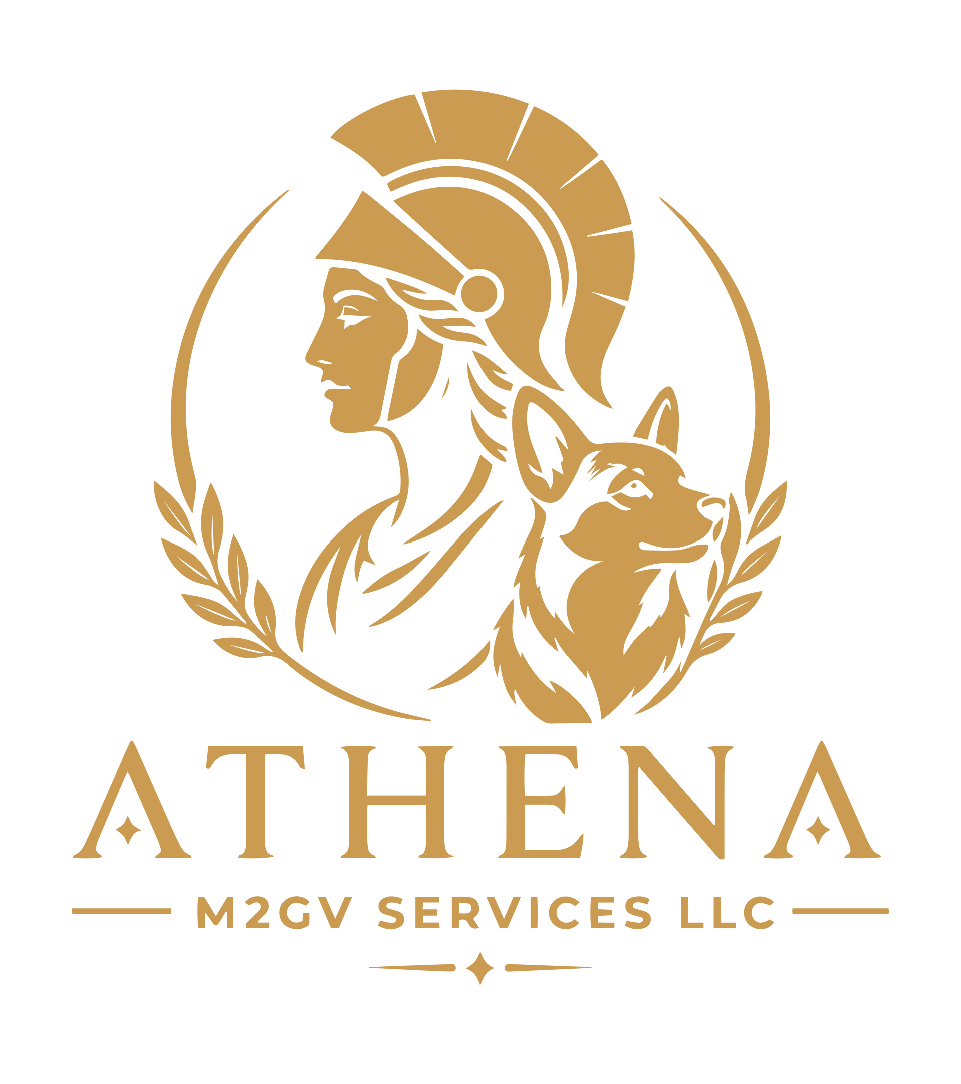 Athena M2gv Services LLC A mirrored image of scales of justice inside a circle.